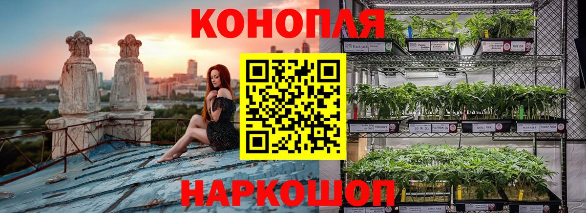 МАРИХУАНА Bruce Banner Янаул